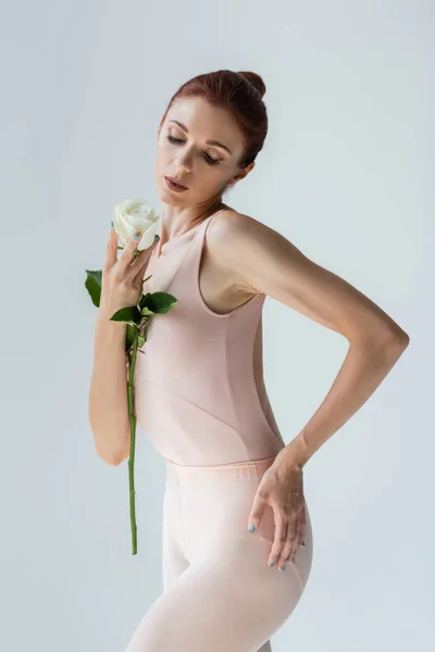 Молодая балерина в боди-костюме, держащая розу изолированной на сером — стоковое фото
