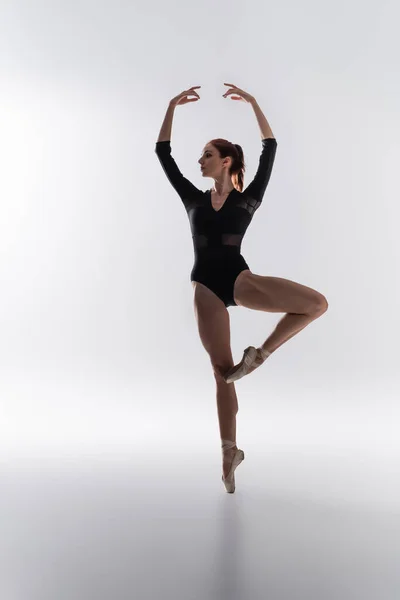 Volle Länge der eleganten Ballerina im Body, die mit erhobenen Händen auf grau tanzt — Stockfoto