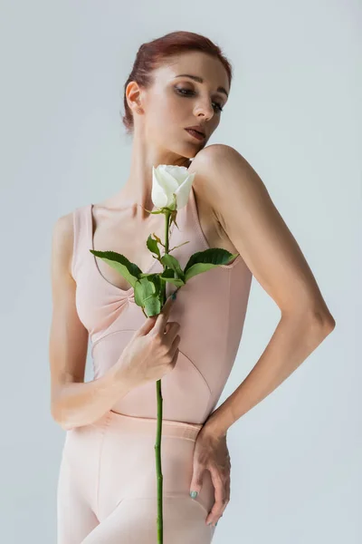 Young elegant ballerina in bodysuit holding rose isolated on grey — Stock Photo