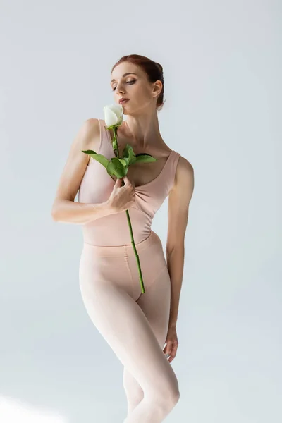 Young redhead ballerina in bodysuit holding rose on grey — Stock Photo