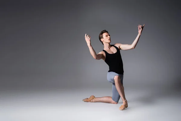 Full length of graceful ballet dancer standing on knee while performing ballet dance on dark grey — Stock Photo