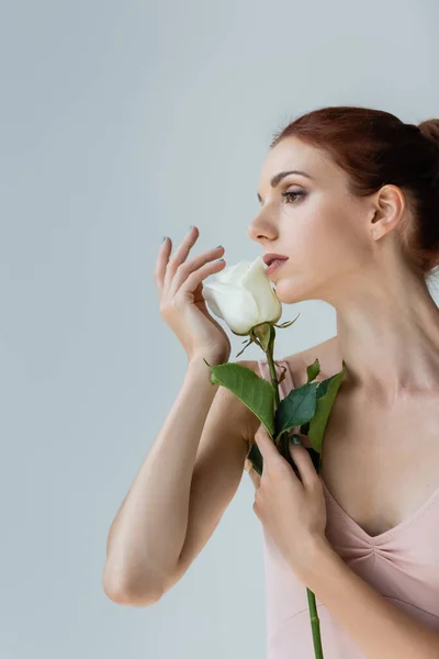 Redhead young ballerina holding white rose isolated on grey — Stock Photo