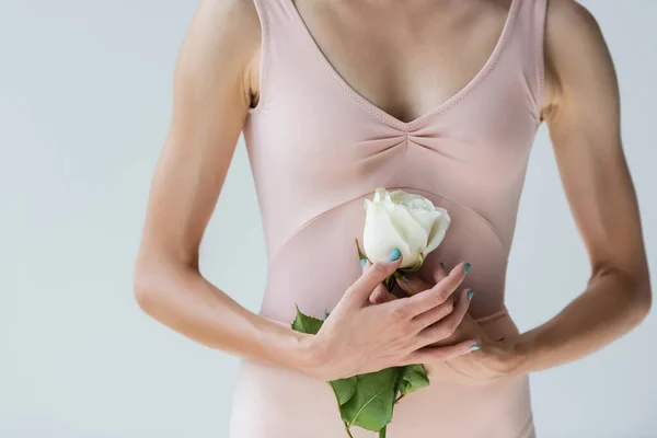 Частичный вид молодой балерины в телесном костюме, держащей белую розу изолированной на сером — стоковое фото