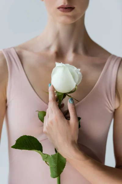 Vista parcial de bailarina em bodysuit segurando flor branca isolada em cinza — Fotografia de Stock