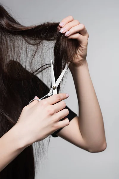 Vista recortada de la joven mujer sosteniendo tijeras cerca de pelo largo enredado aislado en gris - foto de stock