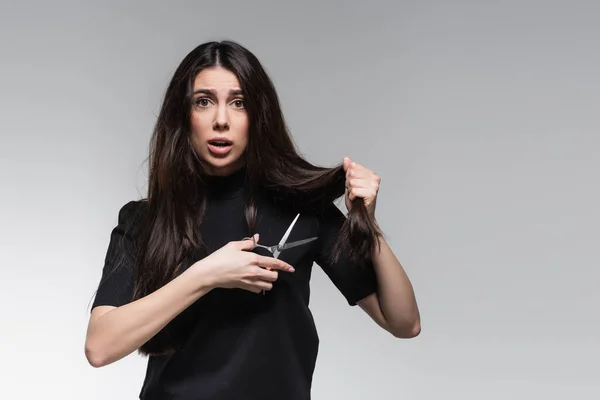 Шокована молода жінка в чорному черепашку тримає ножиці біля довгого пошкодженого волосся ізольовані на сірому — стокове фото