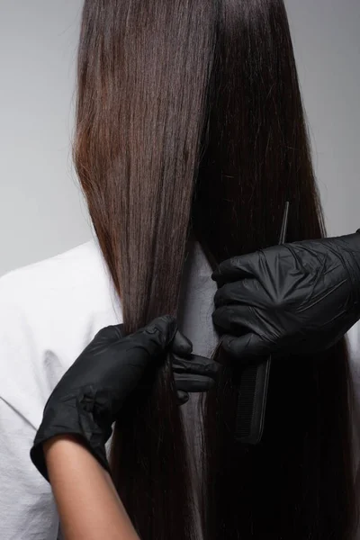 Colorist in latex gloves holding smooth long hair of client isolated on grey — Stock Photo