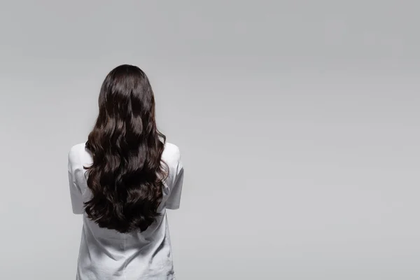 Back view of brunette woman with long wavy hair isolated on grey — Stock Photo