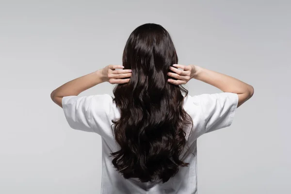Back view of brunette woman adjusting long shiny hair isolated on grey — Stock Photo