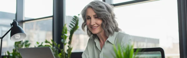 Positive grey haired businesswoman looking at laptop in office, banner — Stock Photo