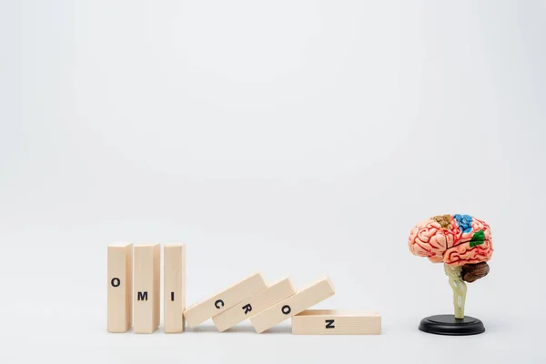 Wooden bricks with omicron lettering near brain model on grey background — Stock Photo