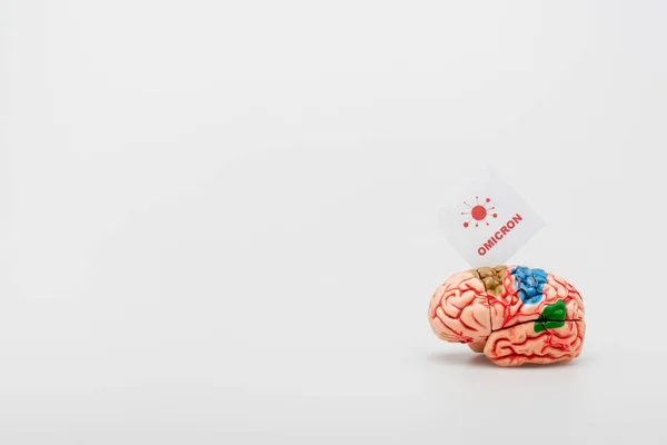 Carte blanche avec lettrage omicron et icône bactérienne près du modèle cérébral sur fond gris avec espace de copie — Photo de stock