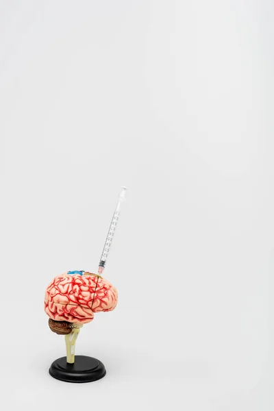 Jeringa en modelo cerebral sobre fondo gris con espacio de copia, concepto de variante omicrónica - foto de stock