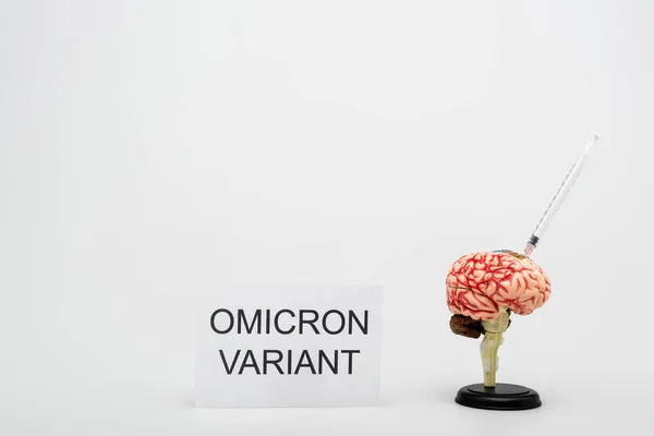 Card with omicron variant lettering near brain model with syringe on grey background — Photo de stock