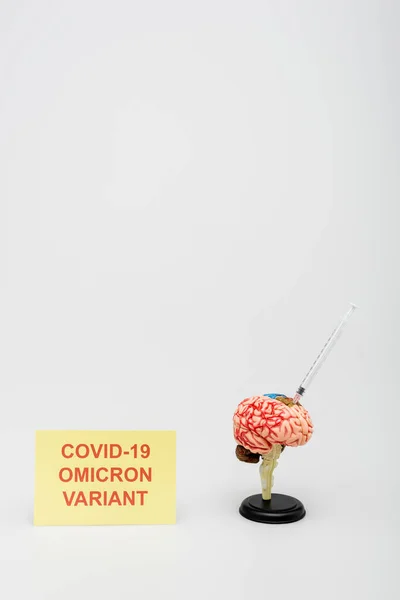 Card with covid-19 omicron variant lettering near brain model with syringe on grey background — стоковое фото