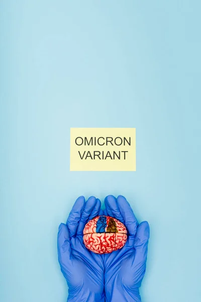 Vue partielle du scientifique avec modèle cérébral près de la carte blanche avec lettrage variante omicron sur bleu — Photo de stock