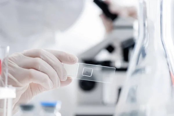 Cropped view of blurred scientist working with laboratory slide, omicron variant concept — Stock Photo