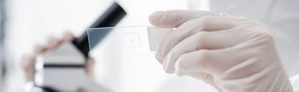 Selective focus of laboratory slide in hand of scientist working with blurred microscope, banner — Stock Photo