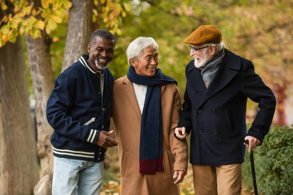 Interracial gris peludo los hombres sonriendo en otoño parque - foto de stock