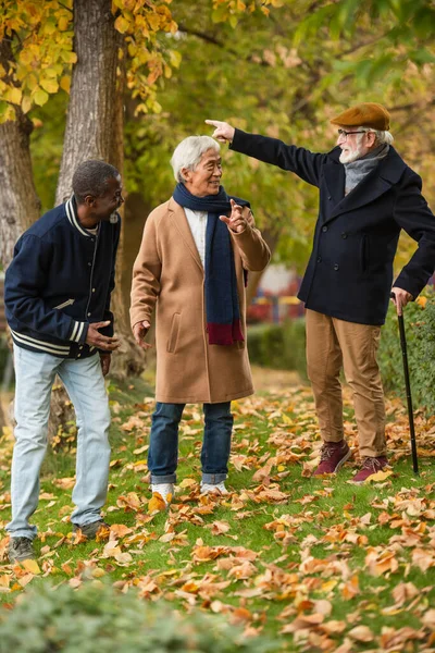 Des hommes âgés multiethniques positifs gesticulant dans un parc d'automne — Photo de stock