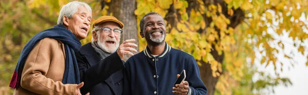 Smiling multiethnic elderly men with cellphone looking away in autumn park, banner — Stock Photo