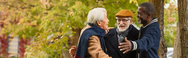 Allegro interrazziale anziani che si abbracciano nel parco autunnale, striscione — Foto stock