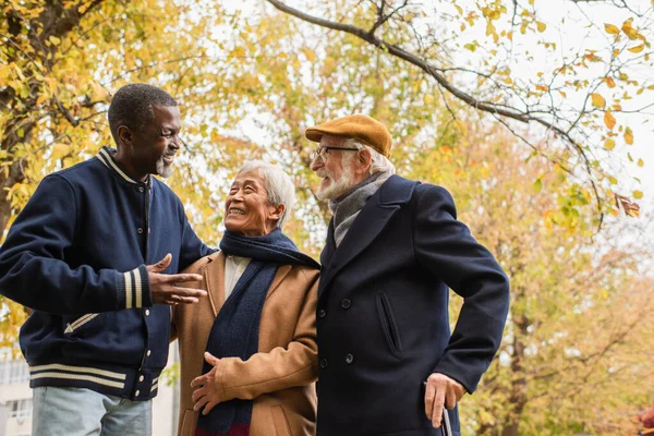 Vista de bajo ángulo de personas mayores multiétnicas hablando en el parque de otoño - foto de stock