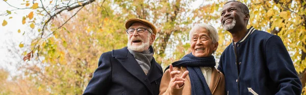 Vue à angle bas de l'homme asiatique aux cheveux gris pointant du doigt près d'amis multiethniques dans le parc d'automne, bannière — Photo de stock