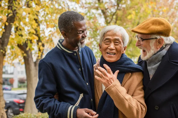 Feliz asiático hombre mirando a cámara cerca multiétnico ancianos amigos en otoño parque - foto de stock