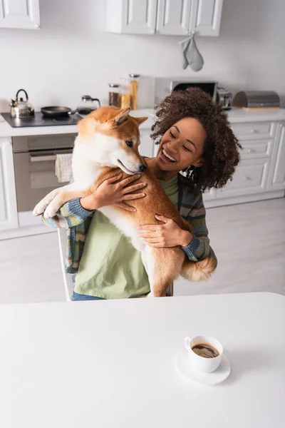 Joyful african american woman sitting in kitchen and holding shiba inu dog — Stock Photo