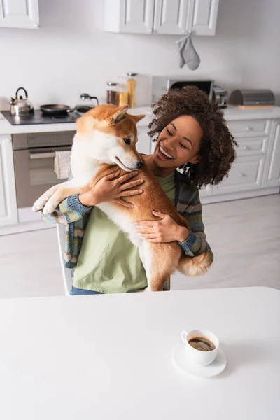 Gioiosa donna africana americana seduta in cucina e con in mano shiba inu cane — Foto stock