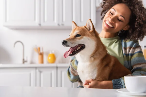 Divertente shiba inu cane attaccare fuori lingua vicino felice donna africana americana e tazza di caffè — Foto stock