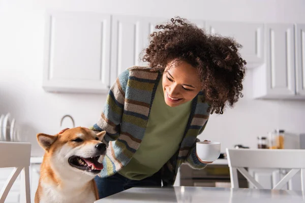 Joven y feliz afroamericana mujer mirando shiba inu perro en cocina - foto de stock