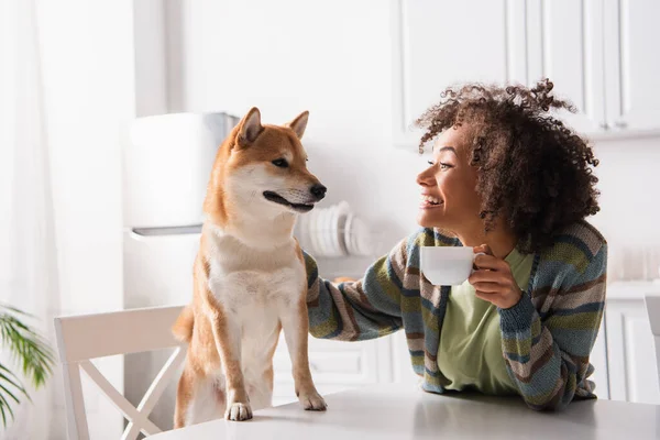 Happy african american woman with morning coffee looking at shiba inu dog in kitchen — Stock Photo