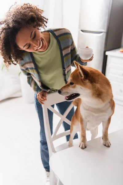 Feliz africano americano mujer con café taza mirando divertido shiba inu perro en cocina — Stock Photo