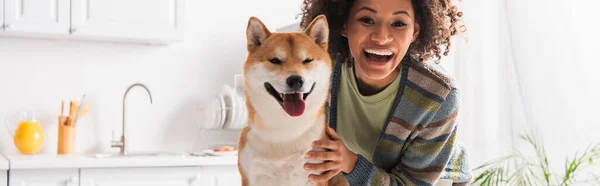 Erstaunt afrikanisch-amerikanische Frau schaut in die Kamera in der Nähe lustiger shiba inu Hund, Banner — Stockfoto