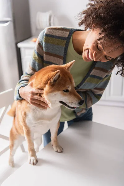 Sorridente donna afroamericana che abbraccia shiba inu cane in cucina — Foto stock