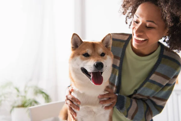 Borrosa africana americana mujer sonriendo mientras abrazando divertido shiba inu perro en cocina - foto de stock