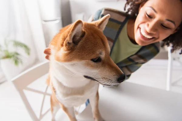 Vista da vicino di shiba inu cane vicino sorridente donna africana americana in cucina — Foto stock