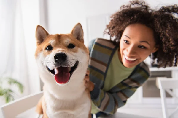 Vista de cerca del perro shiba inu cerca de la mujer afroamericana sonriendo sobre un fondo borroso - foto de stock