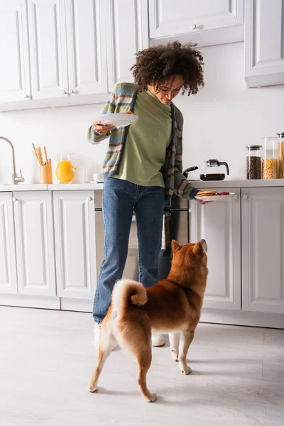 Mulher afro-americana segurando pratos com panquecas saborosas perto de shiba inu cão na cozinha — Fotografia de Stock