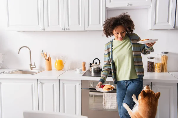 Alegre afroamericana mujer celebración sabroso panqueques cerca shiba inu perro en cocina - foto de stock