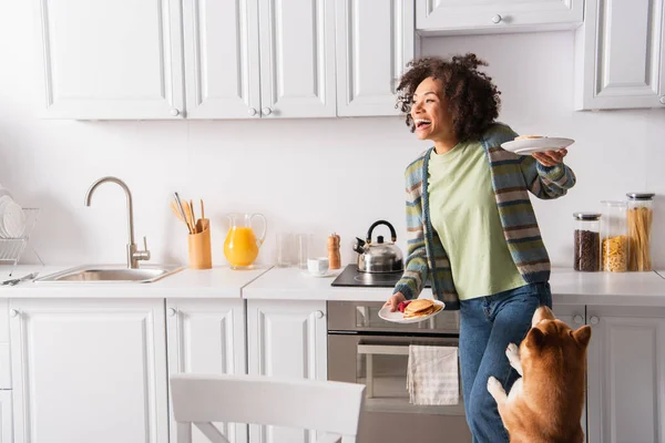 Rindo Africano americano mulher segurando café da manhã perto shiba inu cão na cozinha — Fotografia de Stock