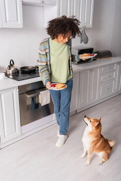 Fröhliche afrikanisch-amerikanische Frau hält Pfannkuchen mit Himbeeren in der Nähe des lustigen Shiba-Inu-Hundes — Stockfoto