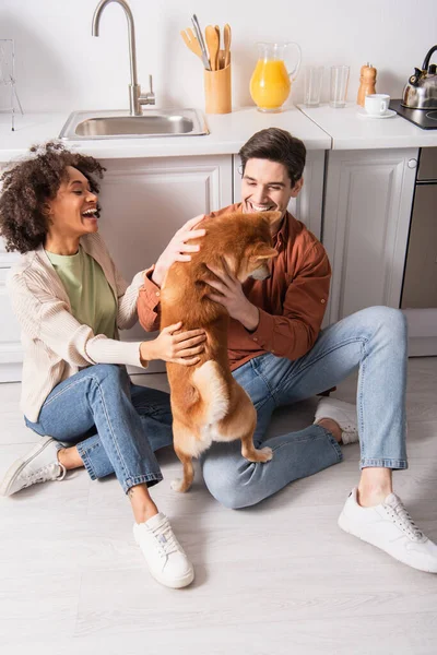 Excitada pareja multiétnica divirtiéndose con el perro shiba inu en el suelo en la cocina - foto de stock