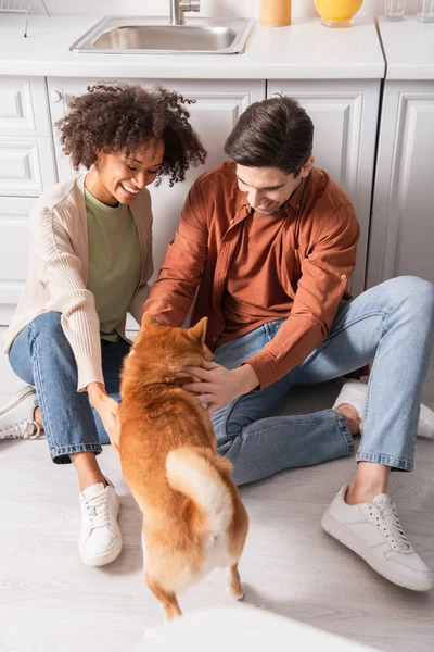 Happy multiethnic couple cuddling shiba inu dog on kitchen floor — Stock Photo