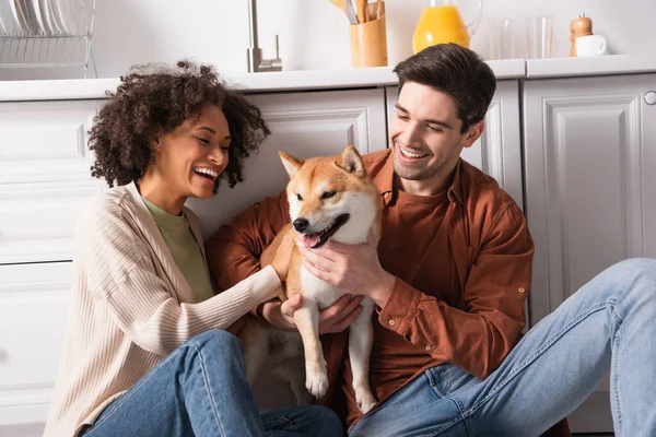 Alegre casal multiétnico se divertindo com shiba inu cão na cozinha — Fotografia de Stock