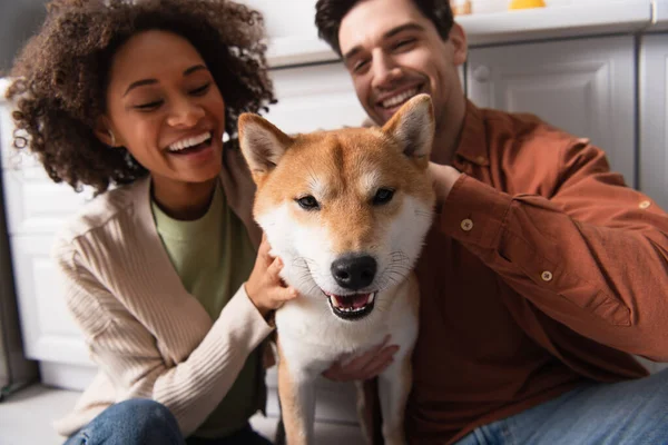 Shiba inu perro mirando a cámara cerca interracial pareja sonriendo en borrosa fondo - foto de stock