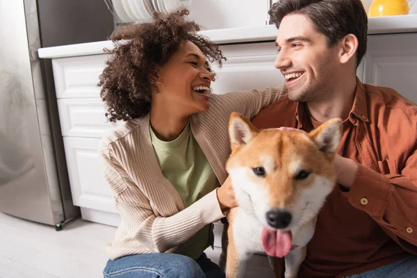 Happy interracial couple looking at each other while hugging shiba inu dog in kitchen — Stock Photo
