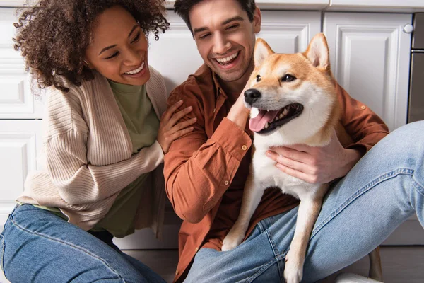 Feliz hombre sosteniendo shiba inu perro cerca feliz africano americano novia en piso en cocina - foto de stock